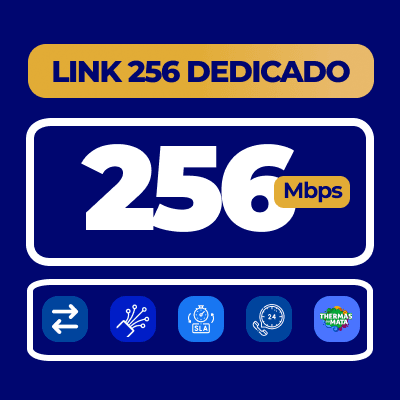 LINK 256 DEDICADO